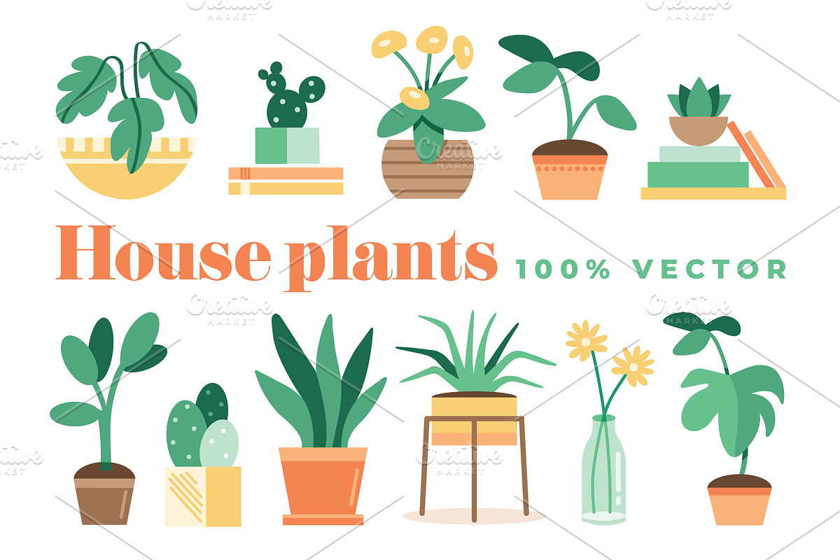 Houseplant Vectors, an Object Illustration by @JennyPaintsWithPixels (Photo 1 of 2)