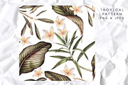 3 Tropical patterns & Floral set, a Pattern Graphic by ollalya (Thumbnail 4 of 5)