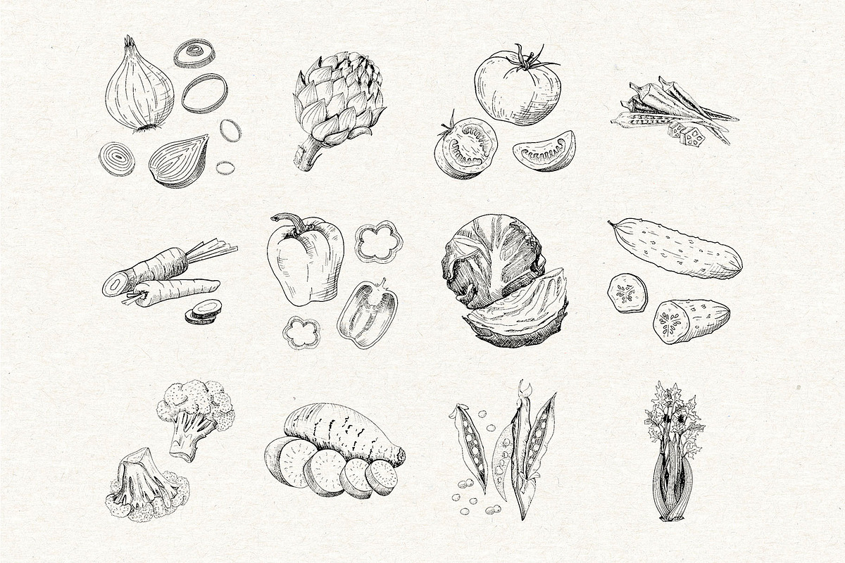 Vegetables. Sketches and patterns, an Object Graphic by Canatic (Photo 2 of 8)