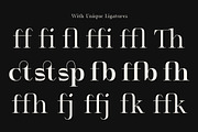 Serifant Family | Intro 50% OFF, a Serif Font by Lettertype Studio (Thumbnail 12 of 15)