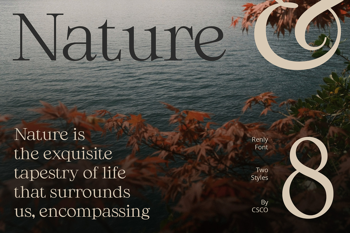 Renly – Elegant Serif, a Serif Font by Craft Supply Co. (Photo 5 of 8)