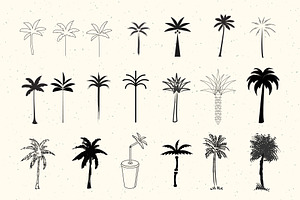 50 Palm Tree Vector Logos & Icons