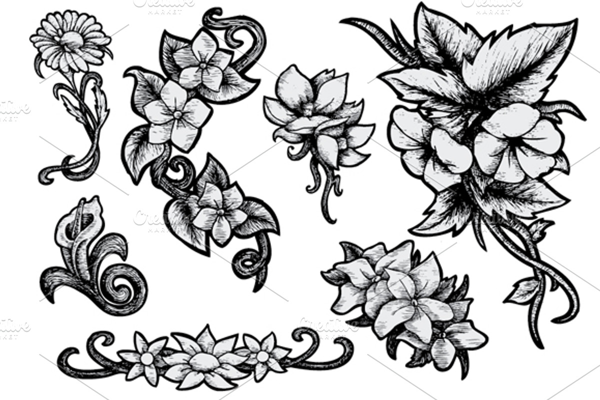 Flowers - Hand Drawn, a Decorative Illustration by BusOne (Photo 1 of 2)