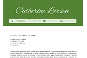Pure MS Word modern resume, a Resume Template by Inkpower (Thumbnail 3 of 3)