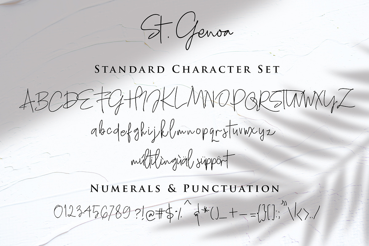 St Genoa - Signature Font, a Script Font by Dm Studio (Photo 9 of 9)