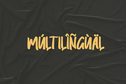 Raymen - Modern Handwritten, a Script Font by skiiller studio (Thumbnail 7 of 8)