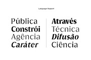 Griggs Flare Serif, a Serif Font by Seniors (Thumbnail 6 of 8)