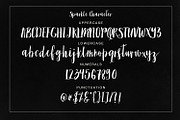 Sparkle Brush, a Script Font by Genesis Lab (Thumbnail 5 of 5)