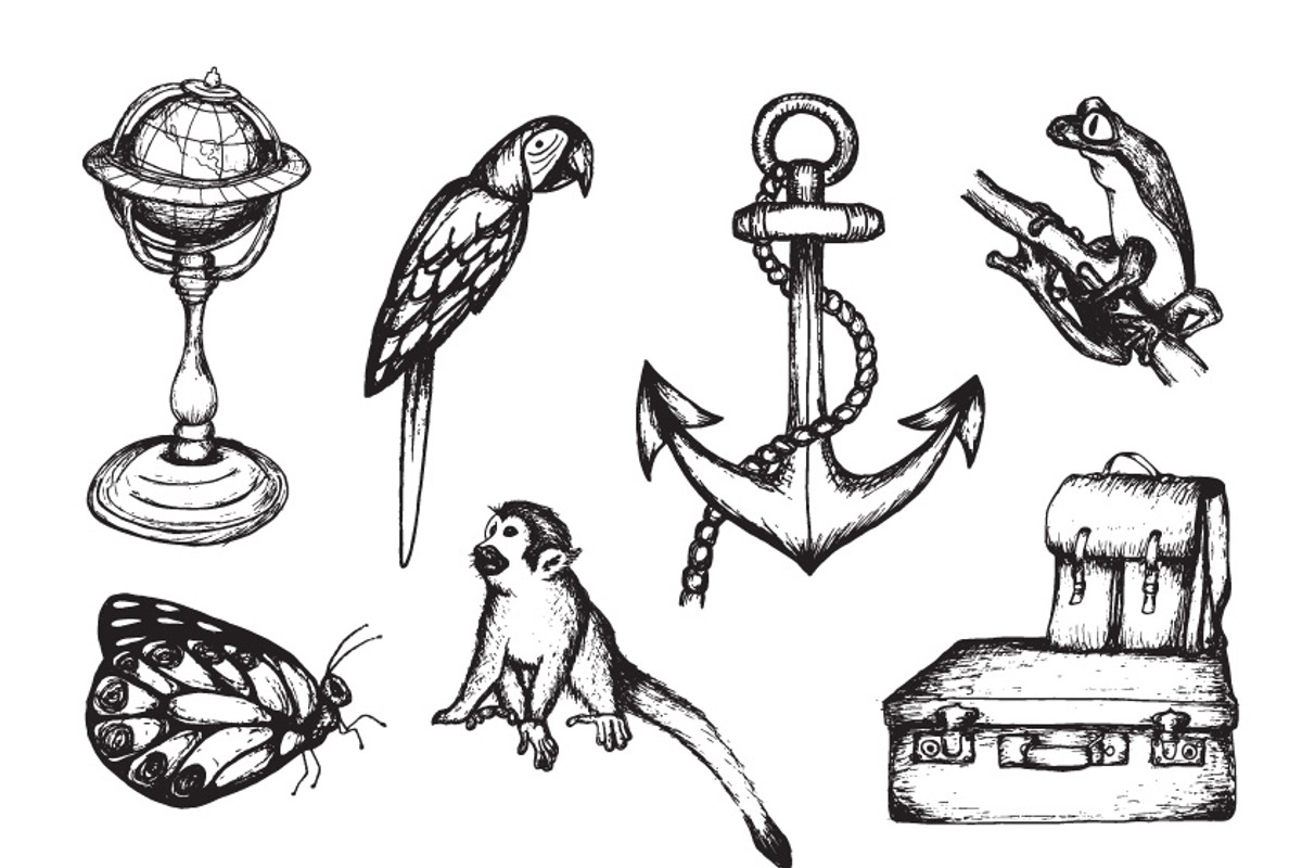 Tropical Expedition Collection, an Animal Illustration by Go Rogue (Photo 2 of 3)