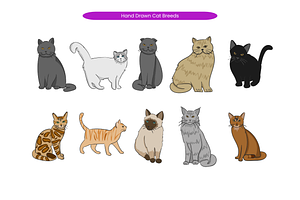 Hand Drawn Cat Breeds, an Animal Illustration by Creathub Studio