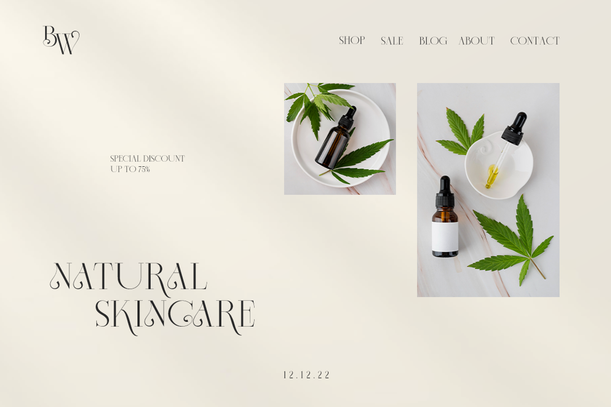 Slightly - Elegant Display Serif, a Serif Font by RockboyStd (Photo 8 of 12)