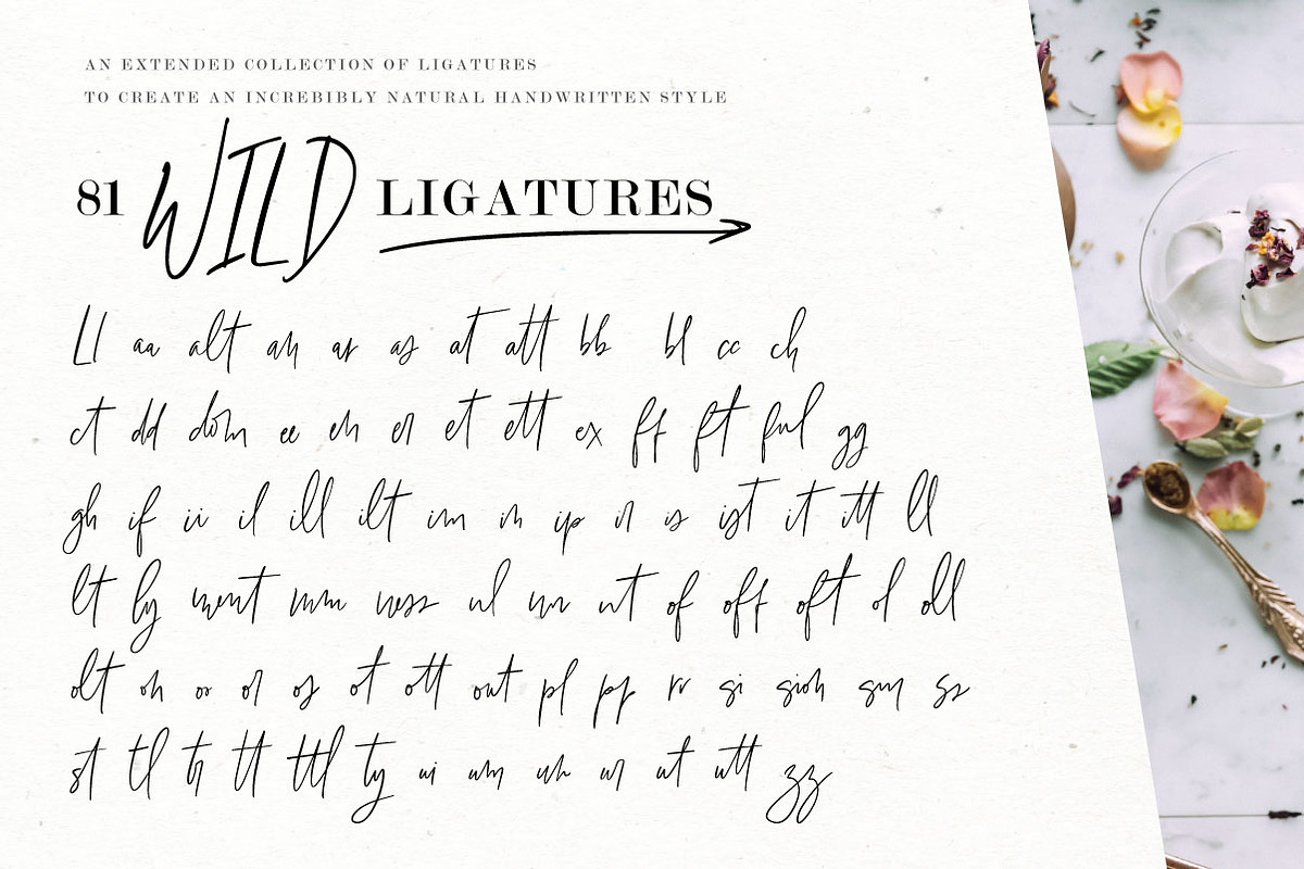 Wild & Rad Handwritten Script Font preview 7