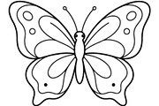 Butterfly SVG Bundle, an Object Graphic by Gfx_Store (Thumbnail 6 of 16)