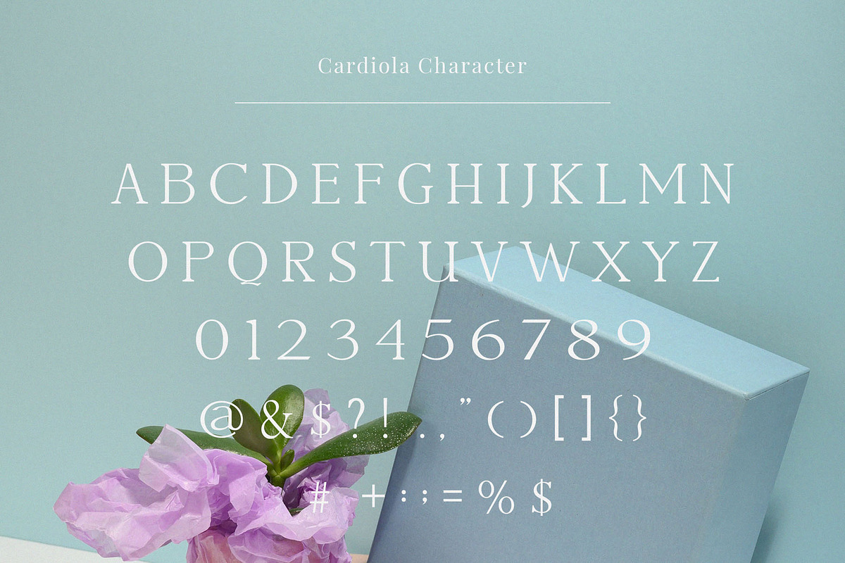 Cardiola - Modern Stylish Serif, a Serif Font by TypeLogue (Photo 4 of 5)