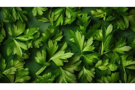 Aromatic Lovage Herbs Horizontal, an Abstract Photo by Visual Generation