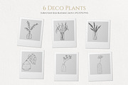 House Plants. Vector illustrations, a Decorative Illustration by iri-illustration (Thumbnail 8 of 9)