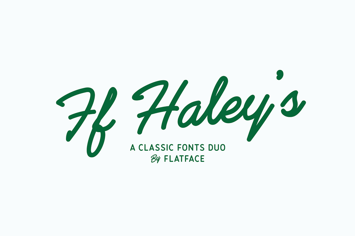 Flatface Haley's, a Script Font by Flatface (Photo 1 of 6)