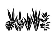 Minimal Botanical Leaf Silhouette Bu, an Illustration by Creativeshirt (Thumbnail 48 of 51)
