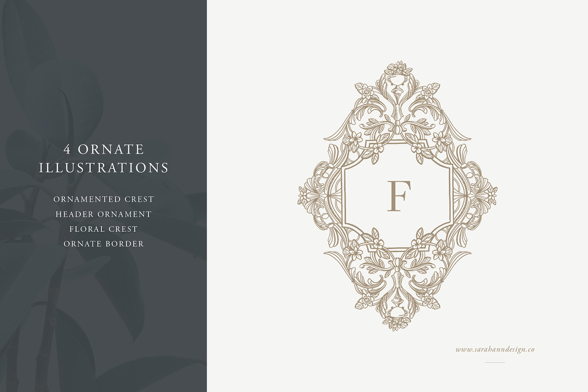 Ornate Designs: Illustration Pack, an Illustration by Sarah Ann Design (Photo 2 of 7)