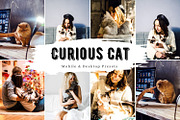 10 Curious Cat Lightroom Presets, a Preset Add-On by LucaTheme (Thumbnail 1 of 9)
