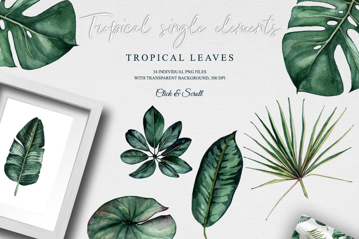 Tropical Boom, an Illustration by CrystalinaShop (Photo 6 of 7)