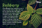 Rashberry, a Handwritten Font by almazstudio (Thumbnail 5 of 10)