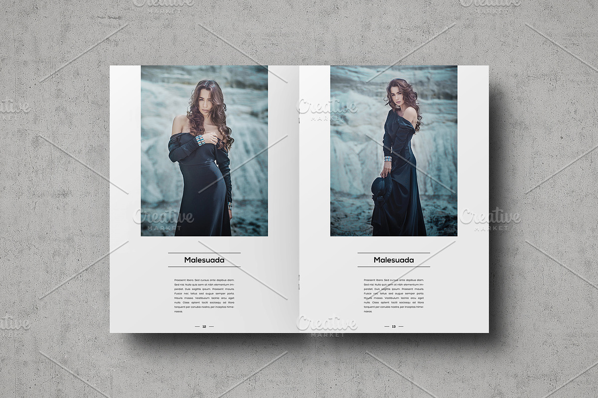 Multipurpose Portfolio Template, a Brochure Template by ShapShapy (Photo 7 of 14)