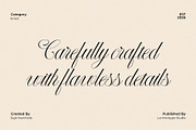 LT Nouvelle Jardin – Romantic Script, a Script Font by Luminotype (Thumbnail 9 of 10)