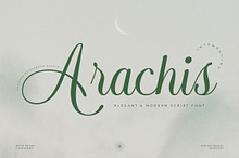 Arachis – Elegant & Modern Script