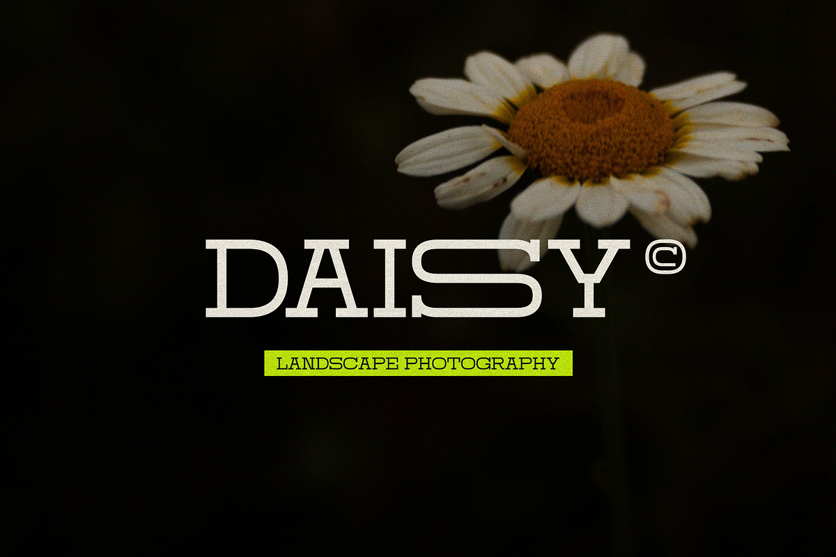 Domesia | Wide Slab Serif, a Slab Serif Font by gracetype_studio (Photo 6 of 12)