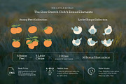 Capybara Yoga Illustration Set, an Animal Illustration by dosome.my (Thumbnail 7 of 10)