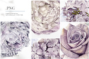 Lilac Purple Watercolor Flowers, an Illustration by May • SHO (Thumbnail 4 of 13)