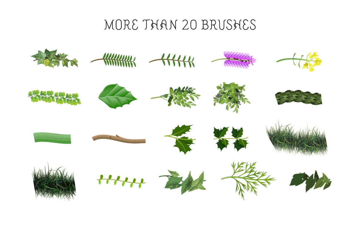 Botanical Brushes & Symbols preview 3