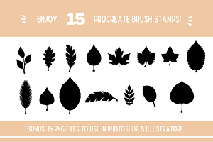 Leafs Brush Stamps For Procreate