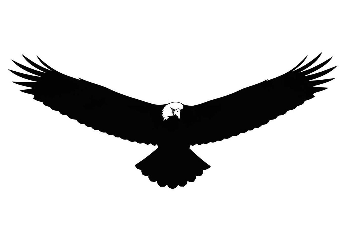50 Flying Eagle Silhouette Vector Bu, an Illustration by Designs_River (Photo 21 of 51)