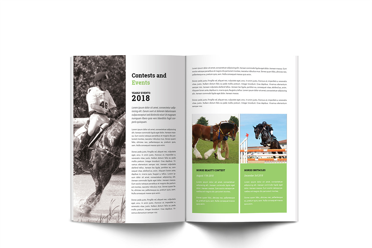 Horse Riding A4 Brochure, a Brochure Template by Incools Stokie (Photo 6 of 13)