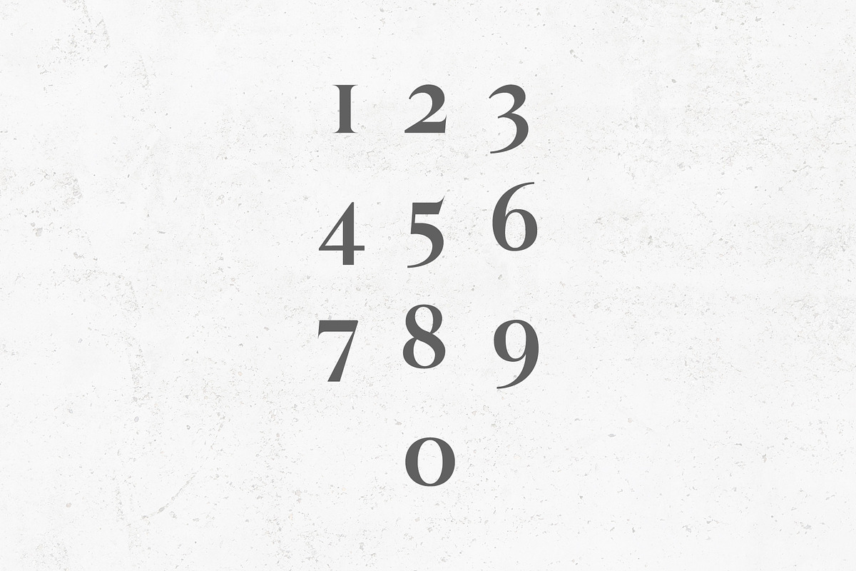 Wacian Serif Font Family preview 5