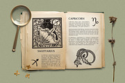 Zodiac Vector Set, a Decorative Illustration by Molly art (Thumbnail 3 of 16)