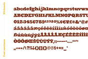 Wildcards, a Slab Serif Font by Midnight Grim (Thumbnail 7 of 7)