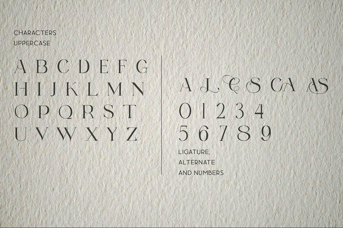 Ceveras - Beauty Serif Font, a Serif Font by ivan_artnivora (Photo 3 of 5)