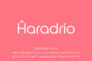Prelia Logo Font, a Sans Serif Font by Shina Design (Thumbnail 7 of 8)