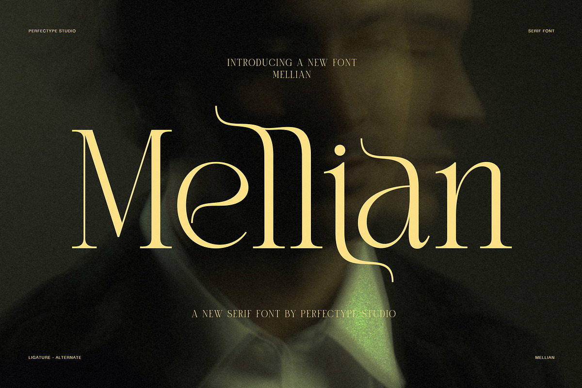 Mellian – Elegant Serif Font, a Serif Font by Perfectype (Photo 1 of 8)