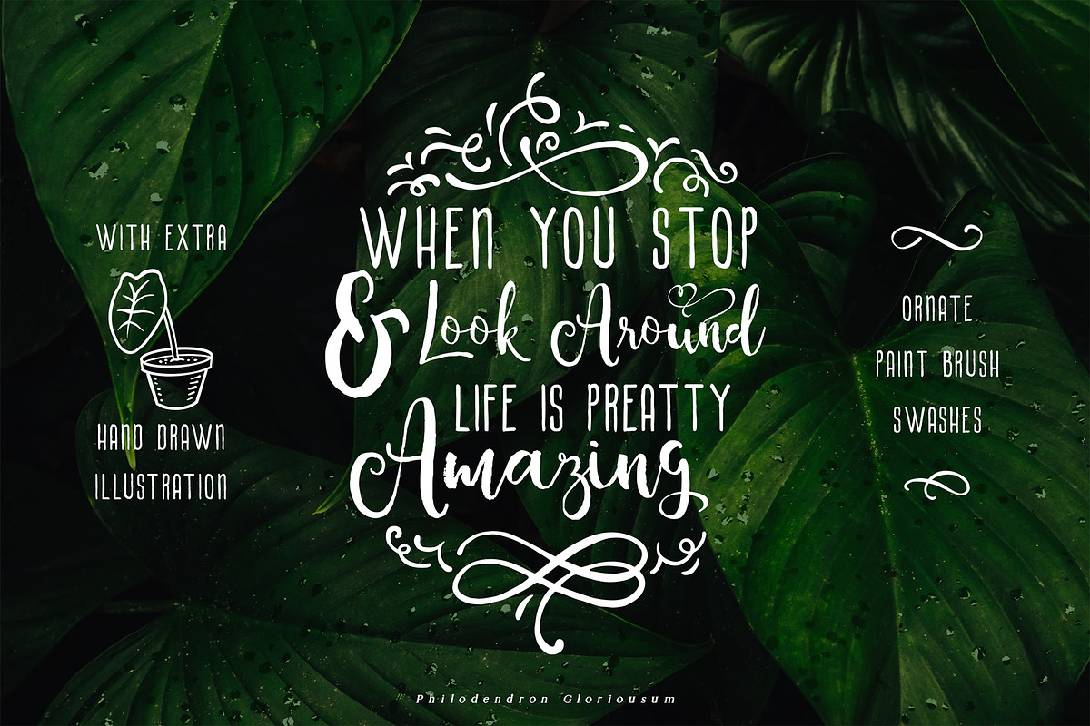 Alocasia-Trio Font Combination preview 3