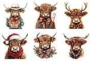 Christmas Highland Cow Clipart, an Illustration by SinaCreation (Thumbnail 4 of 7)