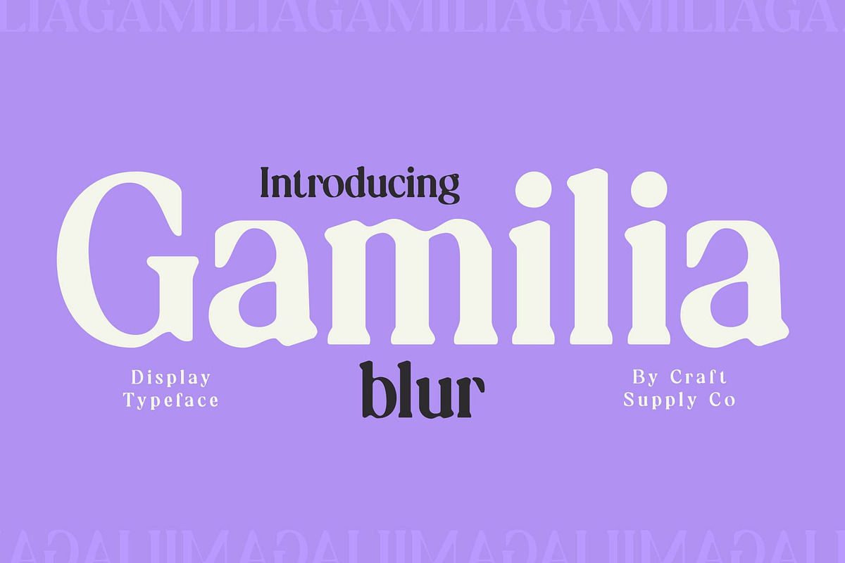 Gamilia Blur, a Serif Font by Craft Supply Co. (Photo 1 of 8)