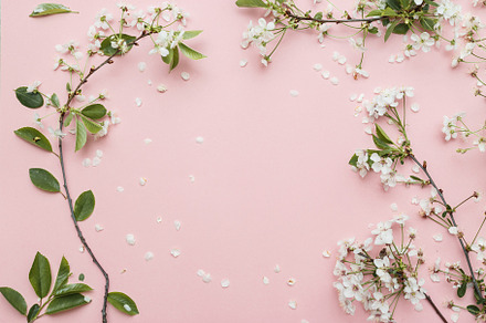 Group of cherry branches with blosso, a Background Photo by VladDeep presets&photos
