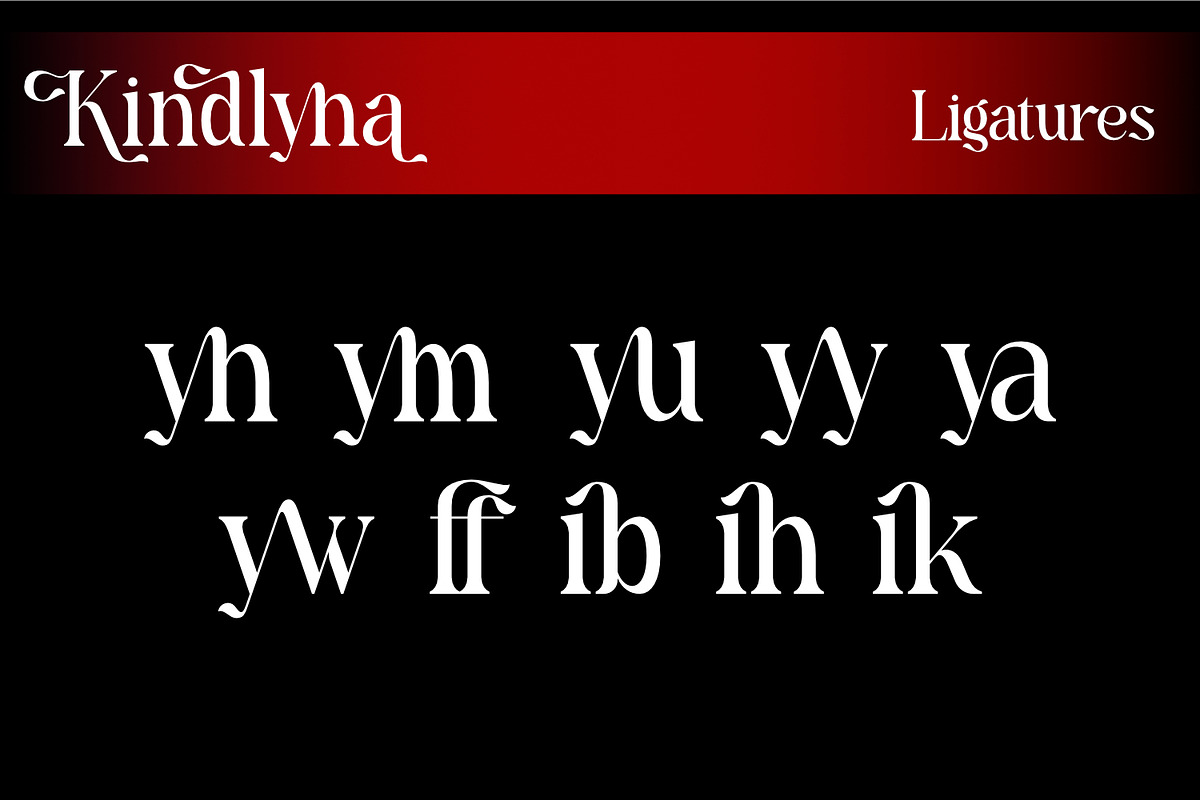 Kindllyna - Modern Serif Font, a Serif Font by Rishsketch (Photo 12 of 13)
