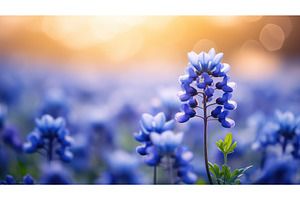 stem bluebonnet road ai generated, a Nature Photo by pikepicture