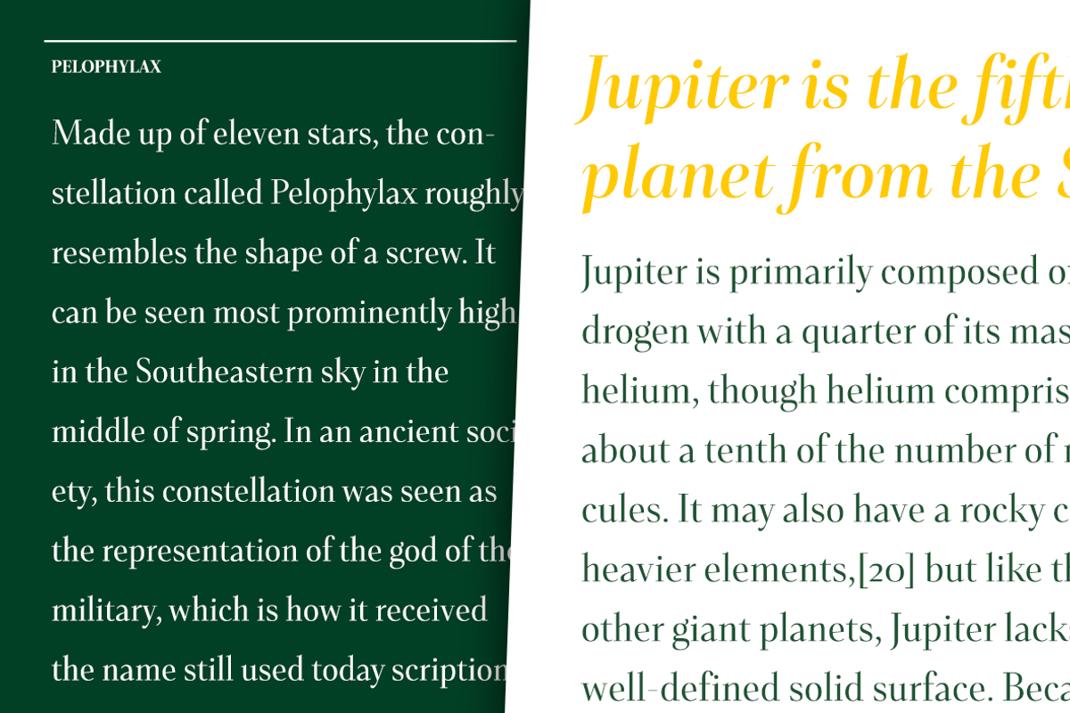 Senlot Didone, a Serif Font by insigne (Photo 4 of 4)