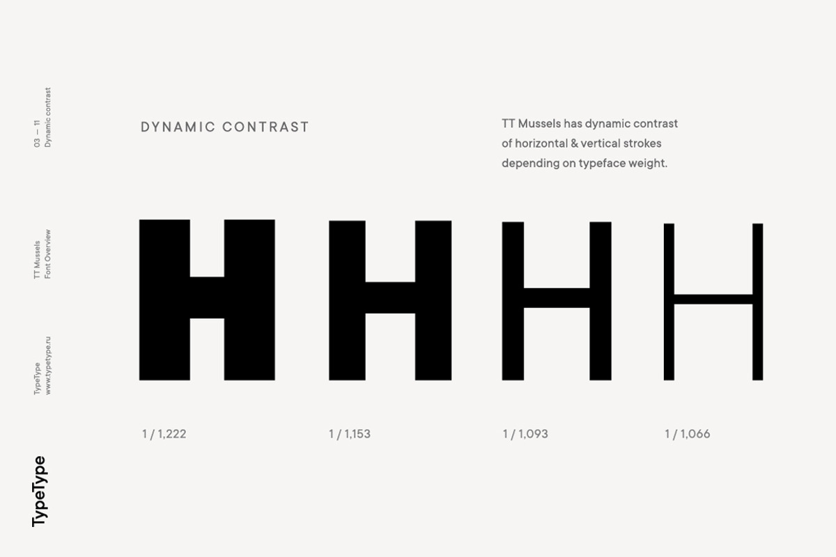 TT Mussels, a Sans Serif Font by TypeType (Photo 3 of 17)